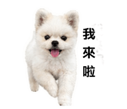 839980521