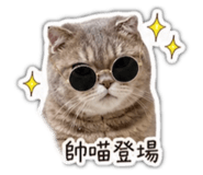 839980555
