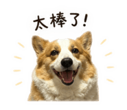 839980629