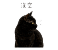 839980885