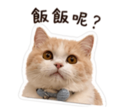 839981070