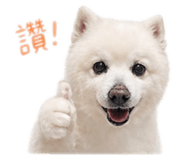 839981247