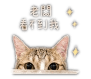 839981471