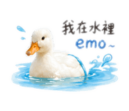 839981584