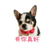 839981862