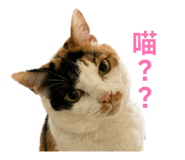 839982123