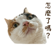 839982124