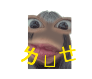839983704