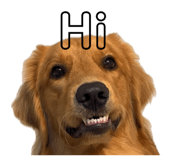 839983960