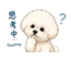 839987270