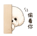 839987276