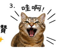839988819
