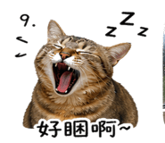 839988825