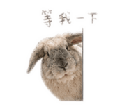 839988886
