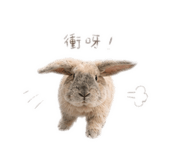 839988888