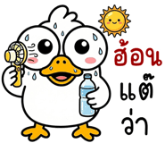 839996298