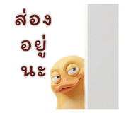 839996421