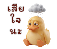 839996434
