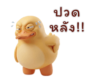 839996436