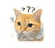 840003057