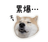840003179