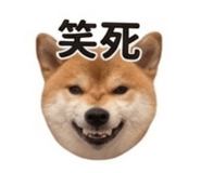 840003191