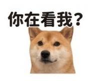 840003192