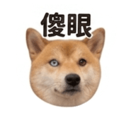 840003194