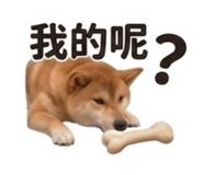 840003195