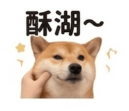 840003197