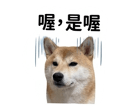 840003199