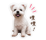 840003569