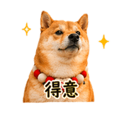 840003988