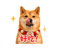 840003989