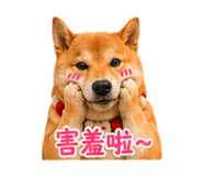 840003990