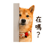 840003992