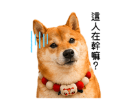 840003993