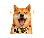 840003994