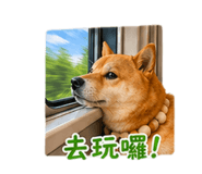 840003996