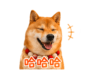 840003998