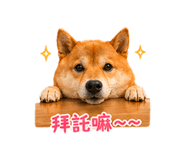 840003999