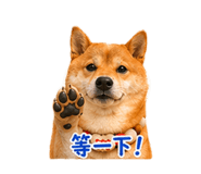 840004001
