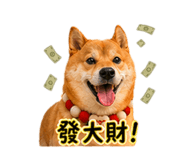 840004002