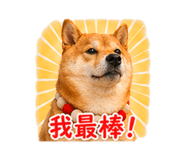 840004004