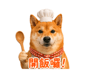 840004009