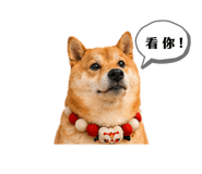 840004012