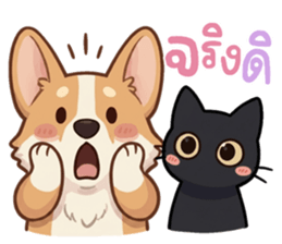 หมาแมวสามสหายจอมแสบ: เจ้าชิ, ถ่าน, สำลี รูปที่ 2