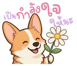 หมาแมวสามสหายจอมแสบ: เจ้าชิ, ถ่าน, สำลี รูปที่ 5