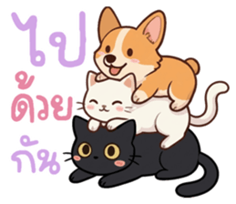 หมาแมวสามสหายจอมแสบ: เจ้าชิ, ถ่าน, สำลี รูปที่ 6