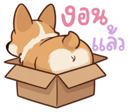 หมาแมวสามสหายจอมแสบ: เจ้าชิ, ถ่าน, สำลี รูปที่ 8